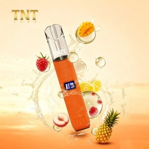 【愛馬仕橙】TNT一代主機 電子煙桿子