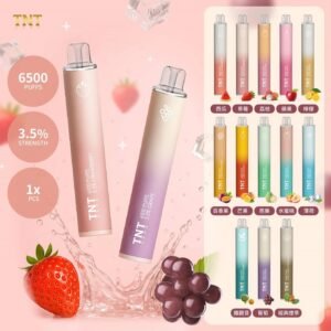 TNT VAPE 6500口一次性電子煙桿 拋棄式小煙